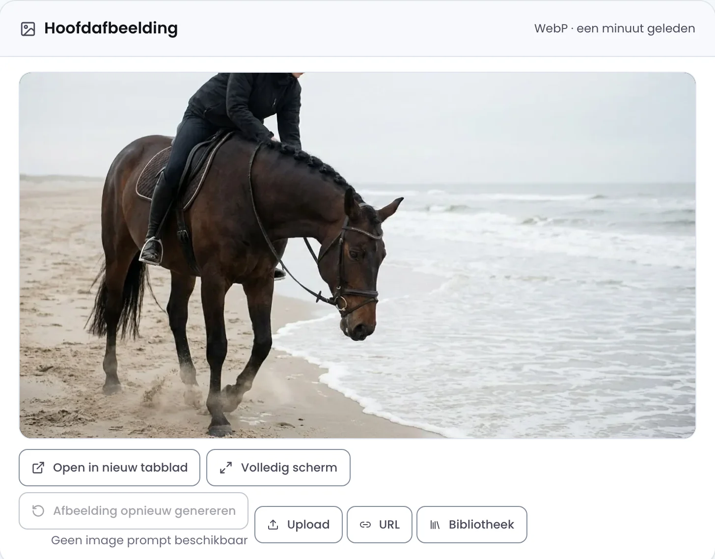 De hoofdafbeelding die bij het blog is gemaakt: een ruiter met een paard langs de vloedlijn, met knoppen om het beeld te vervangen.
